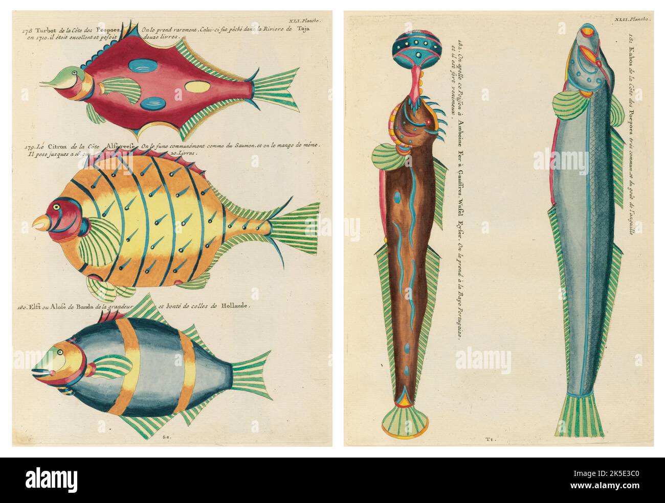 Antiche illustrazioni di pesci, granchi e gamberi con annotazioni in francese. Da Poissons di Louis Renard, Ecrevisses et Crabes, pubblicato nel 1754. Incisioni in rame colorato disposte affiancate in 2 pagine dal titolo originale. Foto Stock