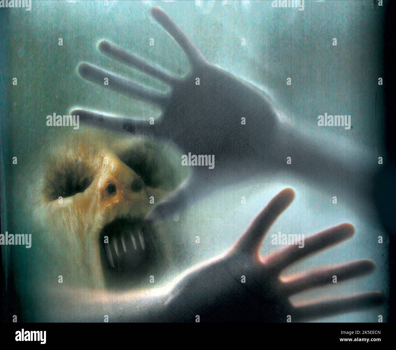 POSTER DEL FILM, UCCELLI MORTI, 2004 Foto Stock POSTER DEL FILM, UCCELLI MORTI, 2004 Foto Stock