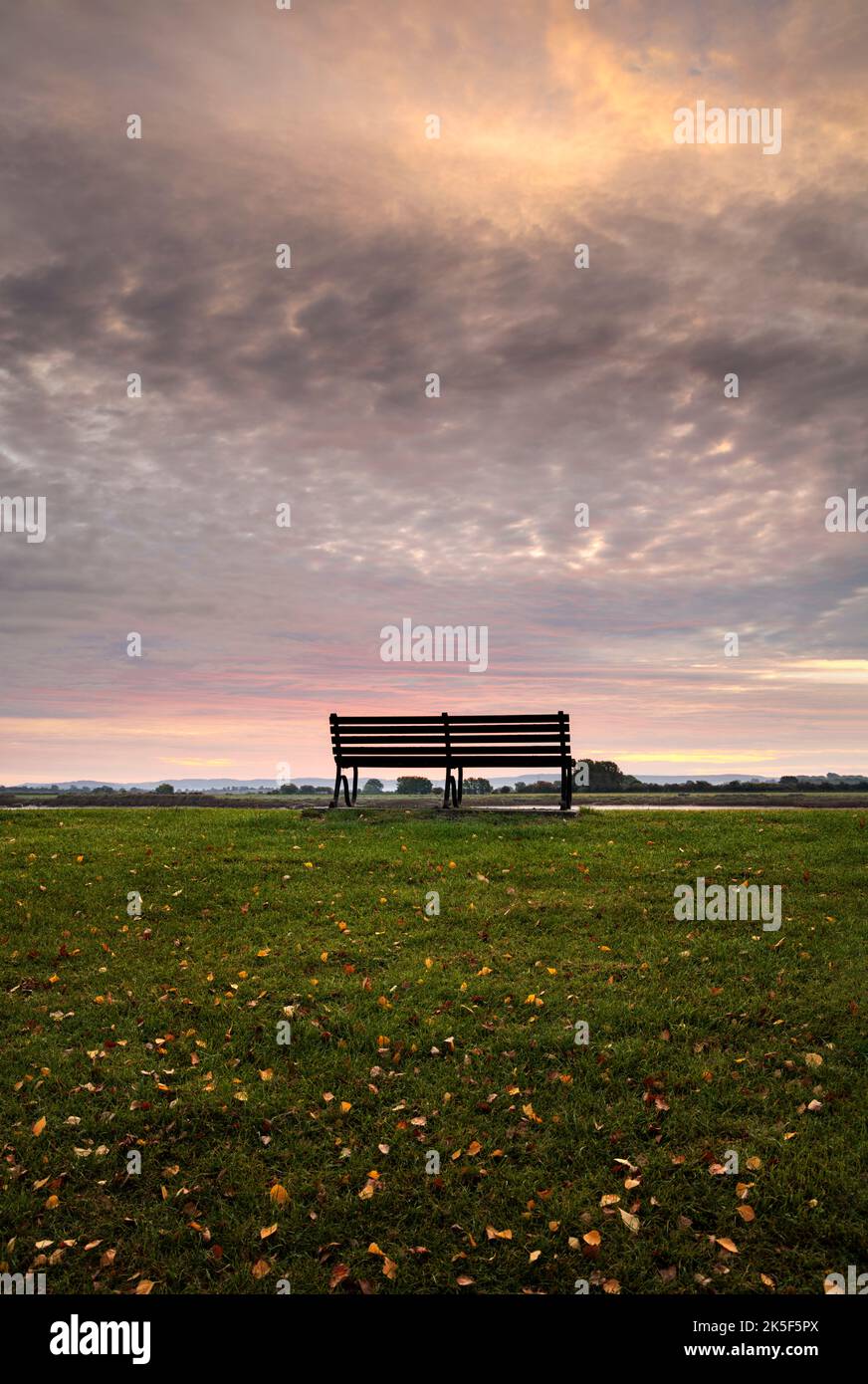 Sede pubblica accanto al fiume Severn, Newnham, Gloucestershire. Foto Stock