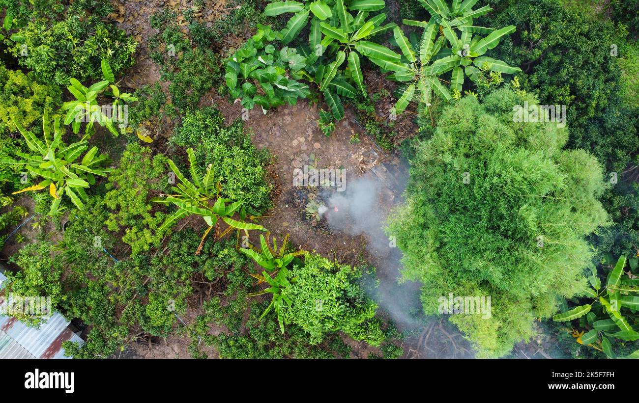 Fumo da foglie d'autunno bruciate nel giardino. Rimozione di rifiuti e foglie asciutte di abitanti di un villaggio rurale. Vita e stile di vita in campagna Foto Stock