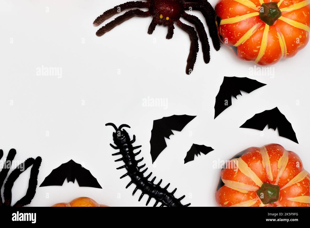 Decorazioni di Halloween concetto, sorriso spaventoso zucca con centipede e ragno con pipistrello nero volante. Foto Stock