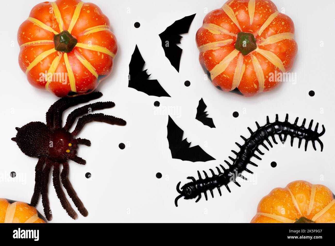 Simbolo di Halloween concetto, sorriso spaventoso zucca con centipede e ragno con pipistrello volante nero. Foto Stock