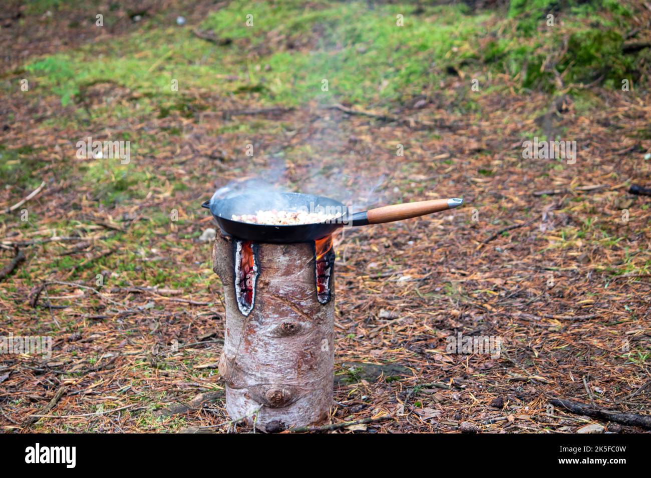Barbecue nella foresta. Soffriggere i funghi in una padella sul fuoco Foto Stock