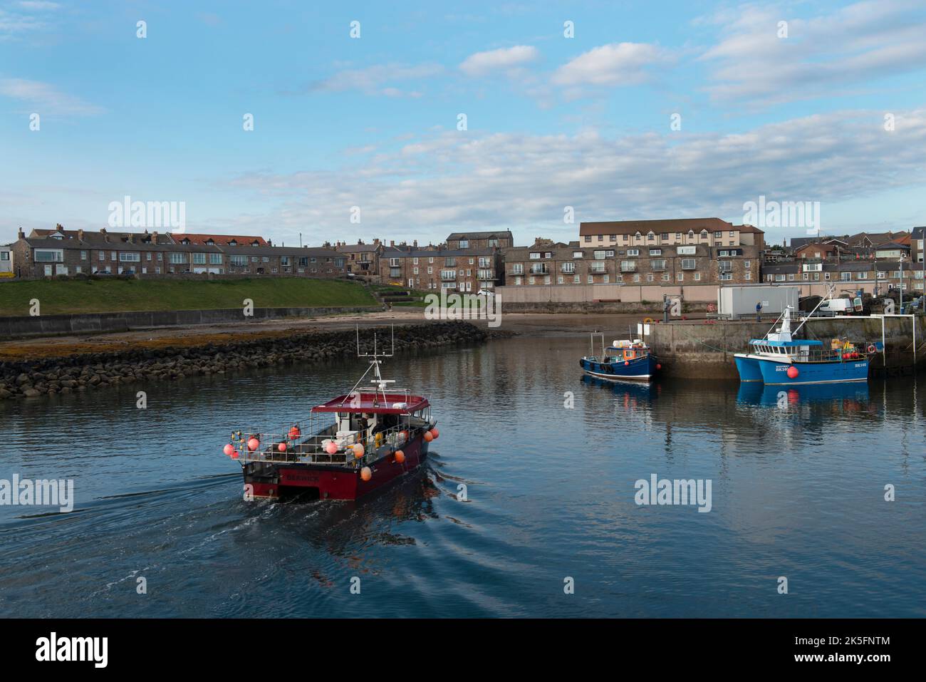 Seahouses è un piccolo porto sulla costa del Northumberland. Il porto è vicino a Lindesfarne e ad altre aree di confine con la Scozia e l'Inghilterra. Isole Farne scendere Foto Stock