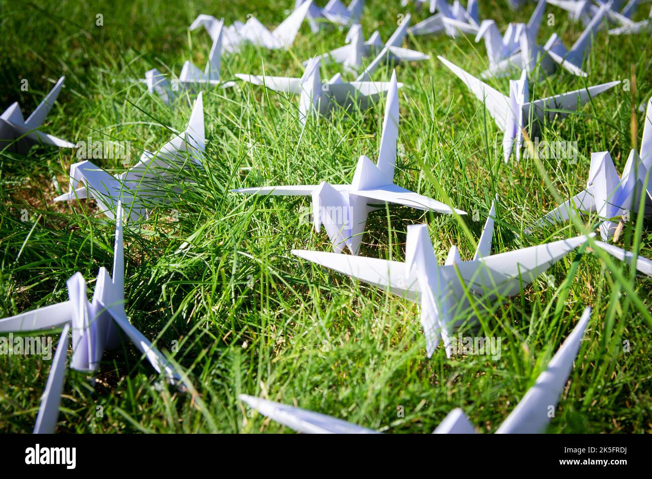 Gru Origami ripiegate giapponesi su erba fresca. Centinaia di uccelli di carta fatti a mano sul campo verde con spazio di copia. 1000 tema scultura tsuru gru. Simbolo di pace, fede, salute, desideri e speranza Foto Stock