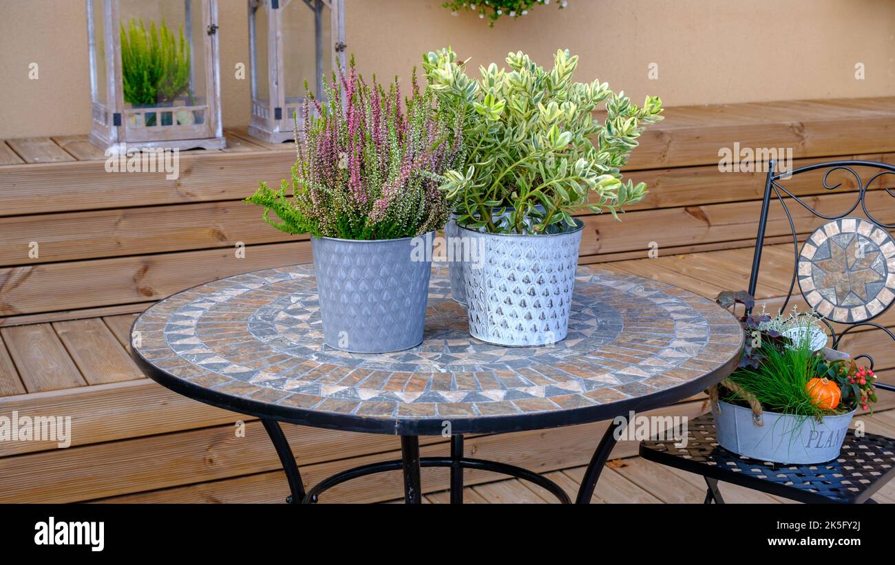 un negozio di fiori con una finestra sulla strada con fiori interni in pentole, secchi e vasi da fiori Foto Stock