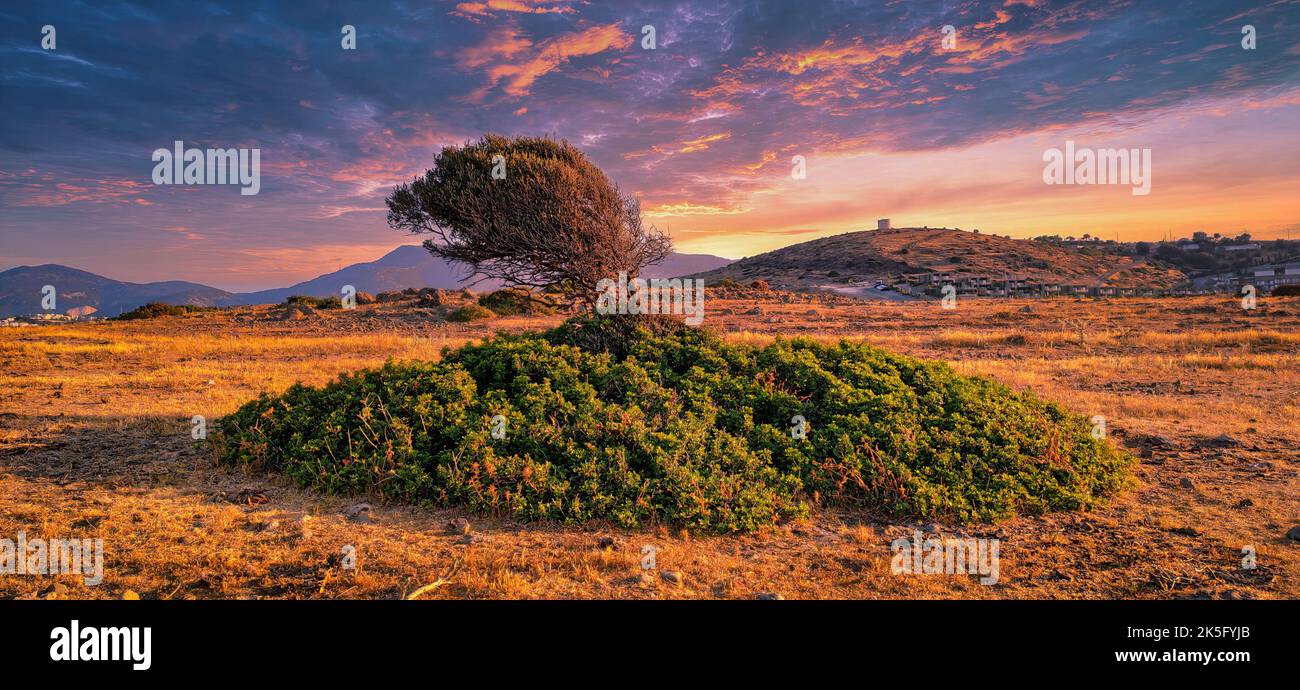 Bell'albero delle montagne Parco Nazionale Scenic Sunrise Landscape. Colori della natura. Donload carta da parati fotografica Foto Stock