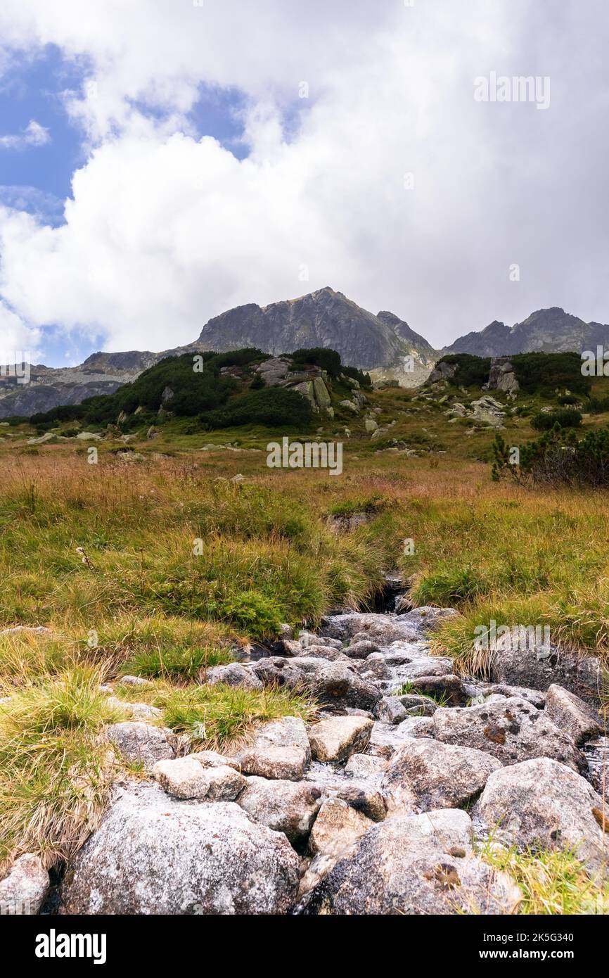 Paesaggio impressionante con grandi montagne di colore grigio-marrone nei Tartari Polacchi, con un sentiero roccioso e erba verde giallastra Foto Stock