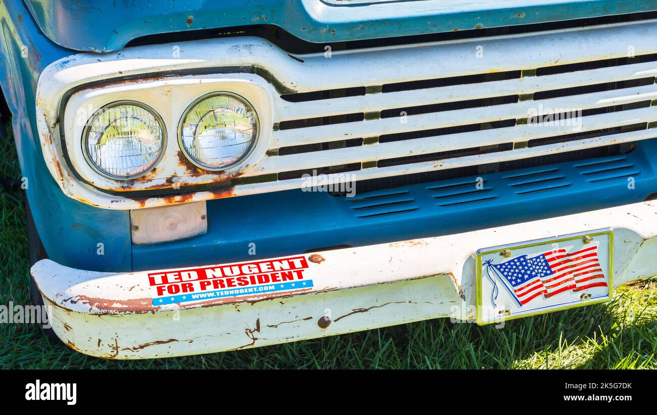 FRANKENMUTH, MI/USA - 13 SETTEMBRE 2015: 'Ted Nugent per il Presidente' adesivo paraurti su un camion pick-up Ford 1959, Frankenmuth Auto Fest, Heritage Park. Foto Stock
