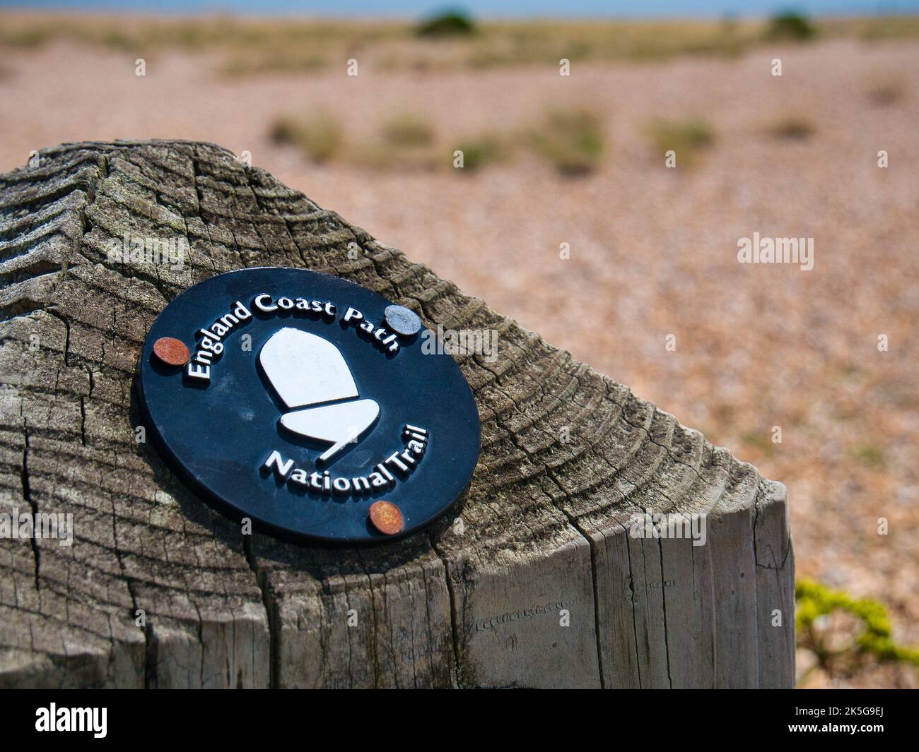 Un cartello circolare nero con stampa bianca e logo di ghianda apposto su un palo di legno segna la via del Sentiero Nazionale della Costa d'Inghilterra. Preso in Kent, Foto Stock