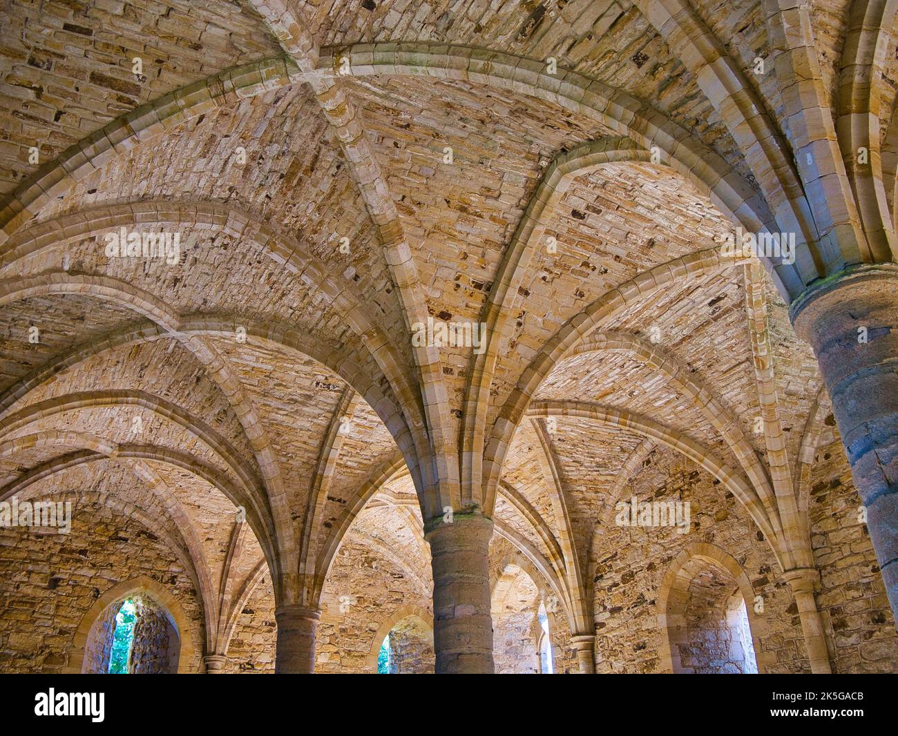 Colonne e pietra in un soffitto gotico calcareo a volta. Foto Stock