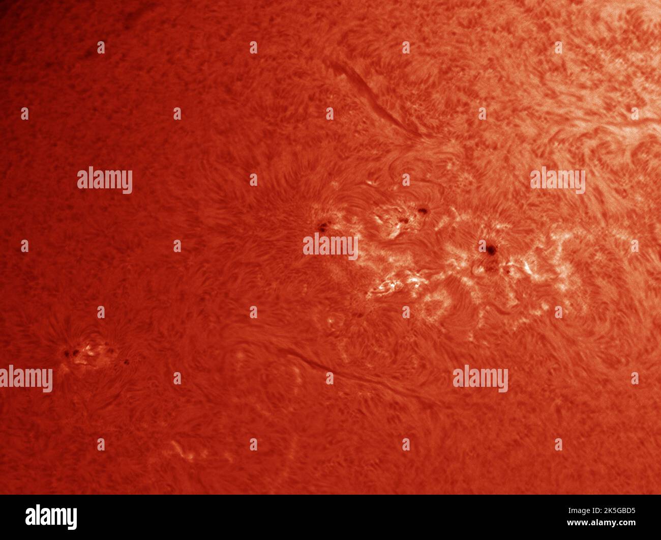Londra, Regno Unito. 8 ottobre 2022. Il massiccio gruppo di punti solari viene catturato attraverso telescopi utilizzando diversi filtri solari che mostrano la complessità dei campi magnetici intorno ai punti di fronte alla Terra. Credit: Malcolm Park/Alamy Live News Foto Stock