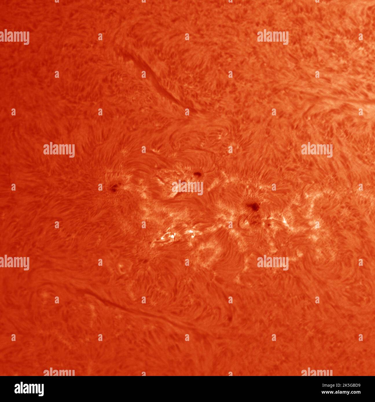 Londra, Regno Unito. 8 ottobre 2022. Il massiccio gruppo di punti solari viene catturato attraverso telescopi utilizzando diversi filtri solari che mostrano la complessità dei campi magnetici intorno ai punti di fronte alla Terra. Credit: Malcolm Park/Alamy Live News Foto Stock