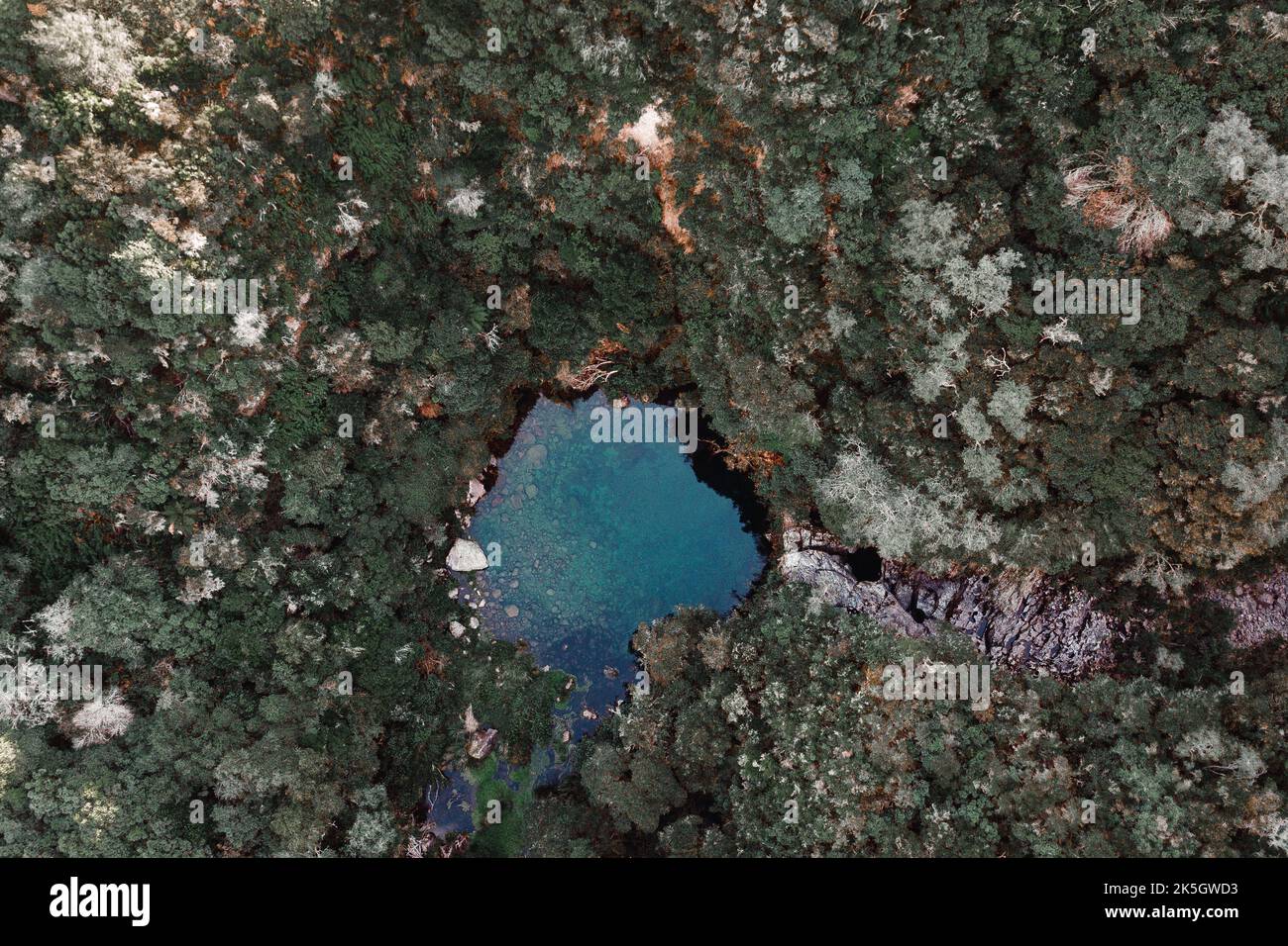 vista dall'aria del piccolo e tranquillo ruscello che sfocia in un piccolo e bellissimo lago nascosto tra la vegetazione e le rocce della foresta, segreto Foto Stock