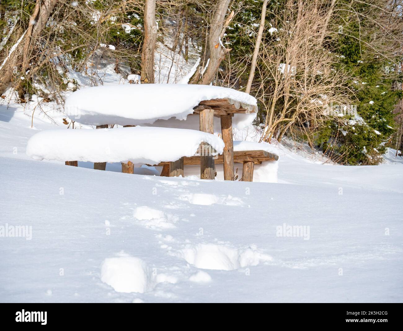 Splendido paesaggio invernale con un tavolo in legno ricoperto da uno spesso strato di neve. Luogo di riposo per gli escursionisti nel bosco. Foto Stock