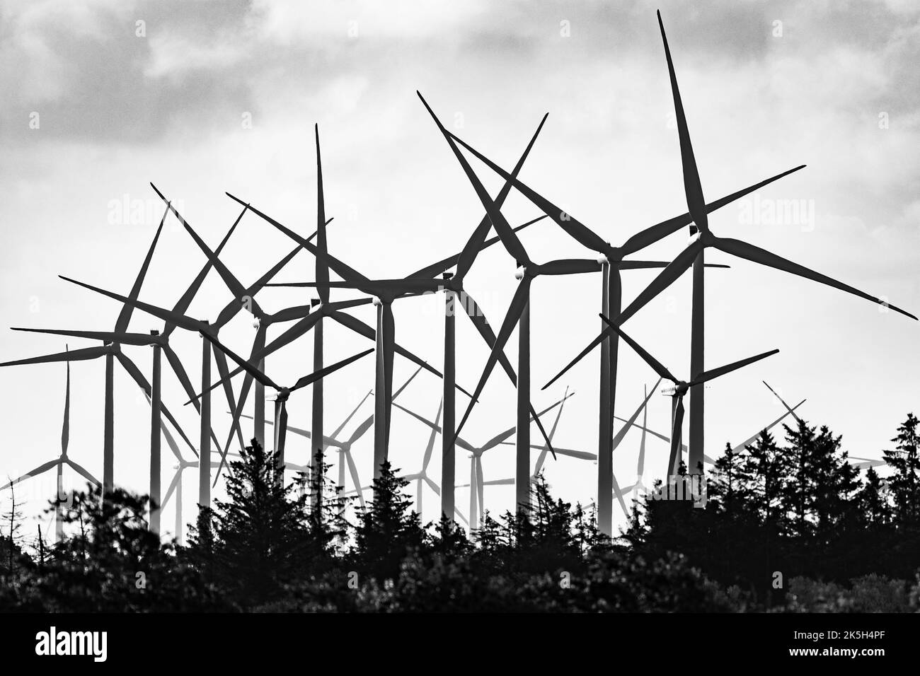 Mulini a vento nella contea di Jammerbugt, Jylland, Danimarca settentrionale. Foto Stock