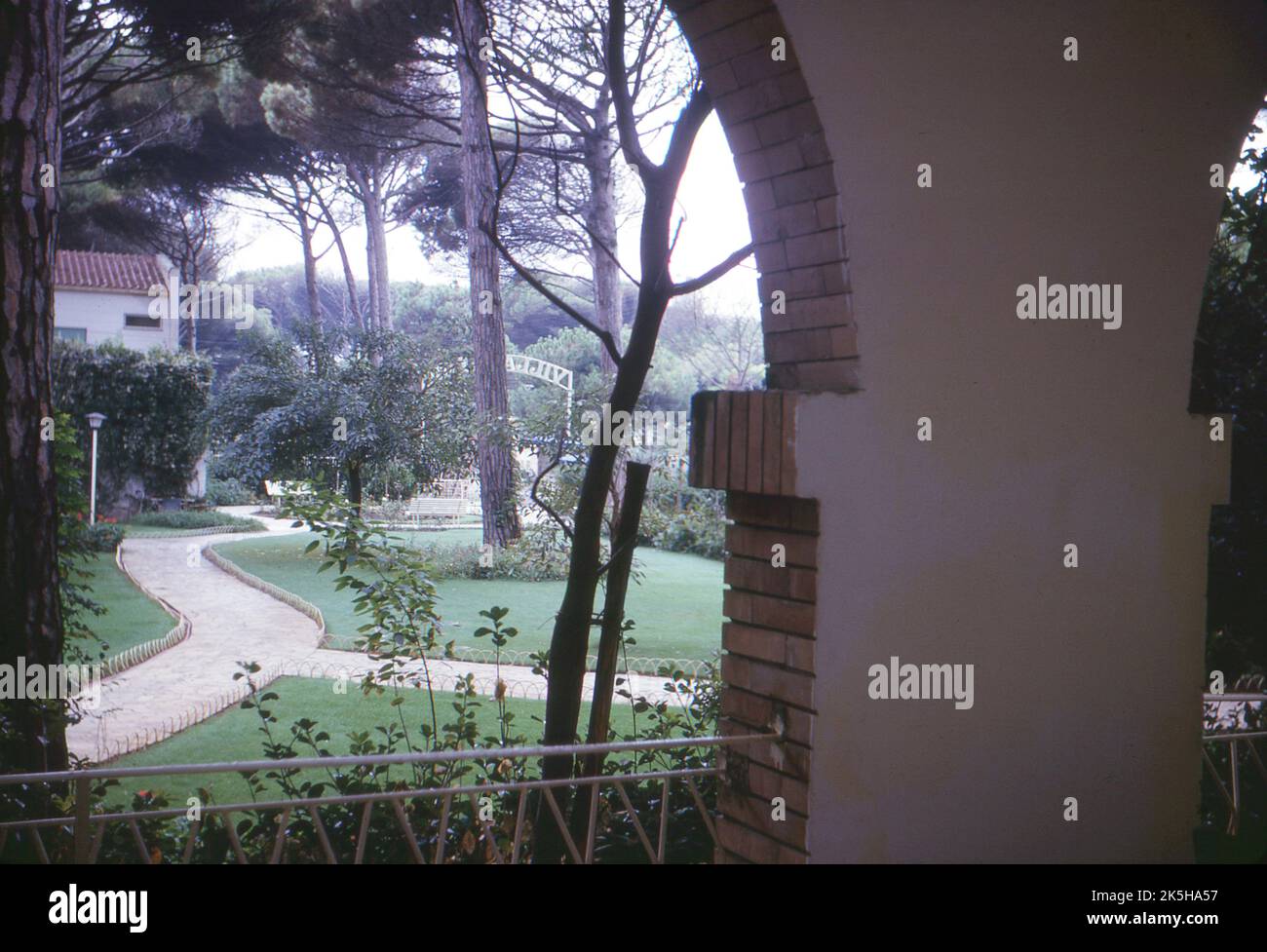 1963, Italia. Il giardino all'interno della proprietà dell'Hotel Villa dei Pini. Foto Stock