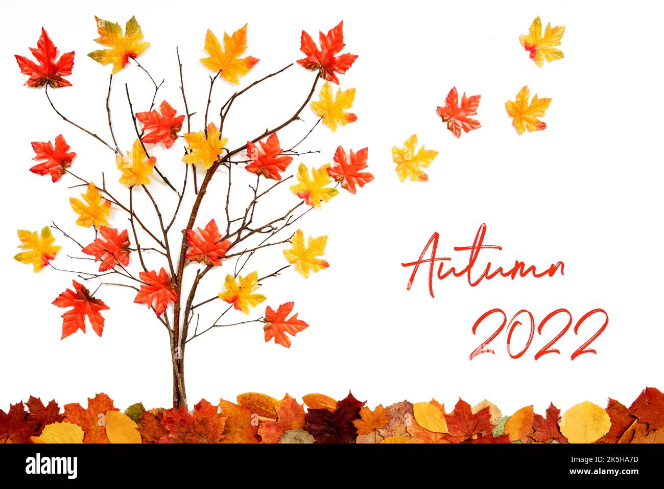 Albero con decorazione colorata delle foglie, foglie che si allontanano, testo Autunno 2022 Foto Stock