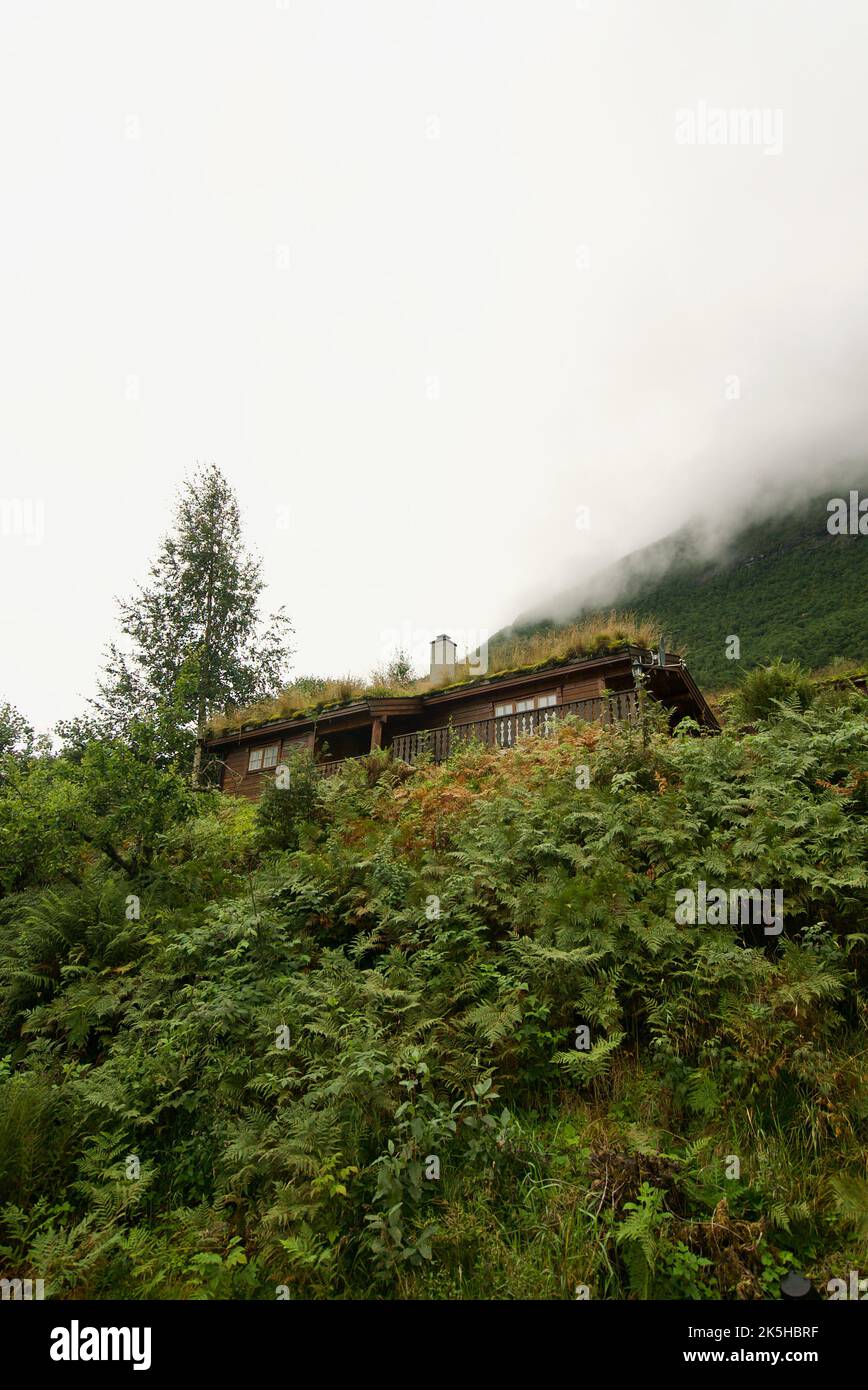 Tetto in erba su una casa in Olden Norvegia. Casa in legno con tetto in erba. Cabina con tetto verde. Eco, alloggi sostenibili. Sviluppo ambientale. Foto Stock