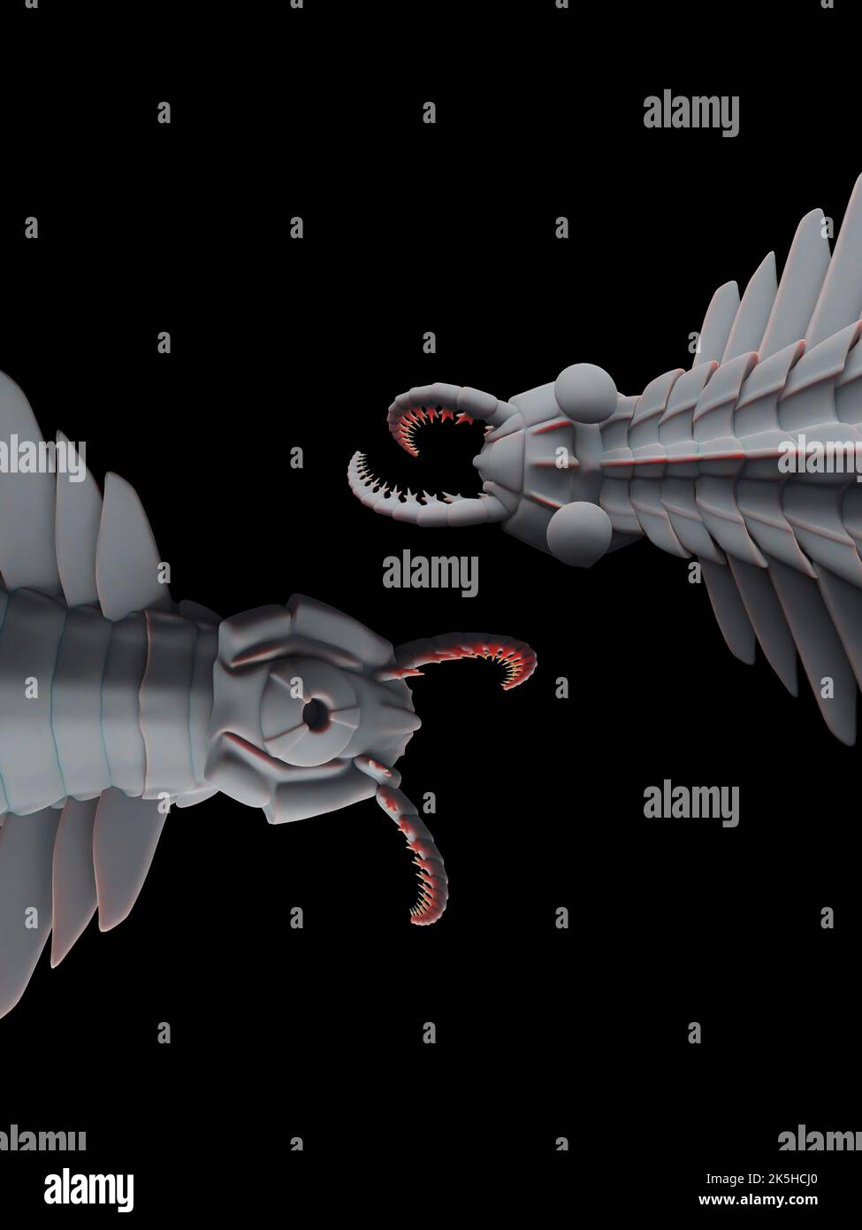 Ricostruzione fossile di Anomalocaris Canadensis dal periodo medio Cambriano. Primo parente di artropodi, creduto essere un predatore marino apex. Foto Stock