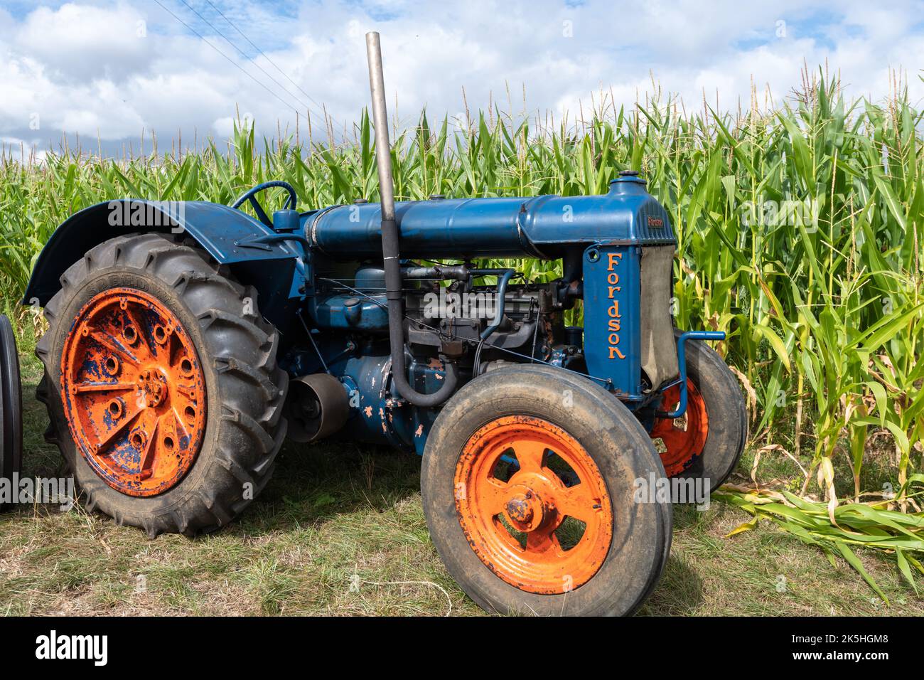 Ilminster.Somerset.United Kingdom.August 21st 2022.A Fordson Major standard è in mostra ad un evento di coltivazione di Yesterdays Foto Stock