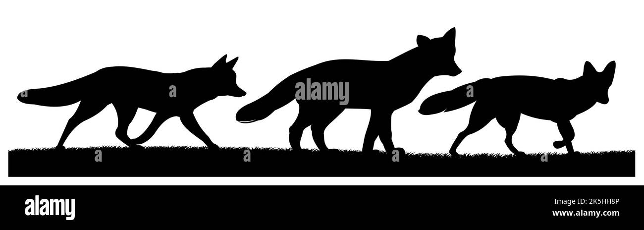 Volpi stanno arrivando. Silhouette animale. Immagine della vita selvaggia. Isolato su sfondo bianco. Vettore Illustrazione Vettoriale