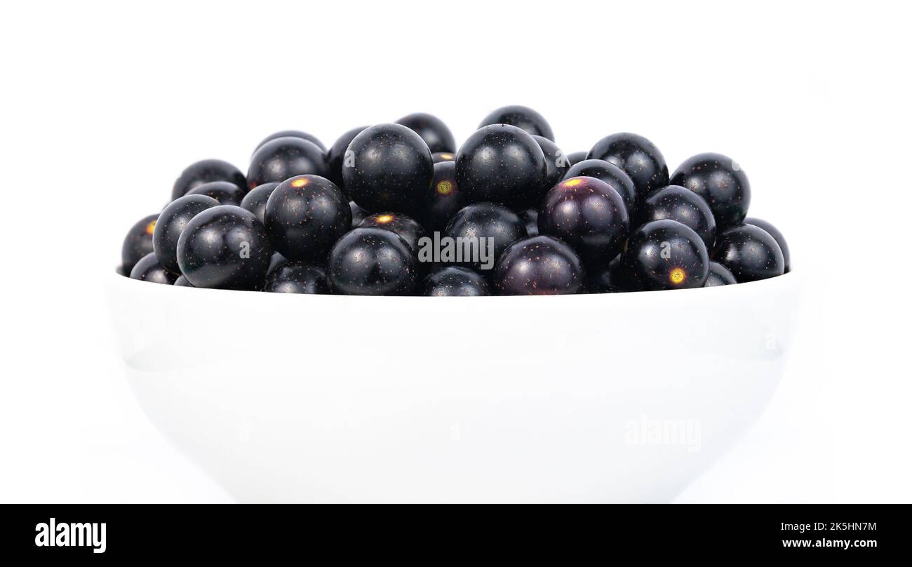 Uva Muscadine, primo piano, in Una ciotola bianca, isolata su uno sfondo bianco, Noble Foto Stock