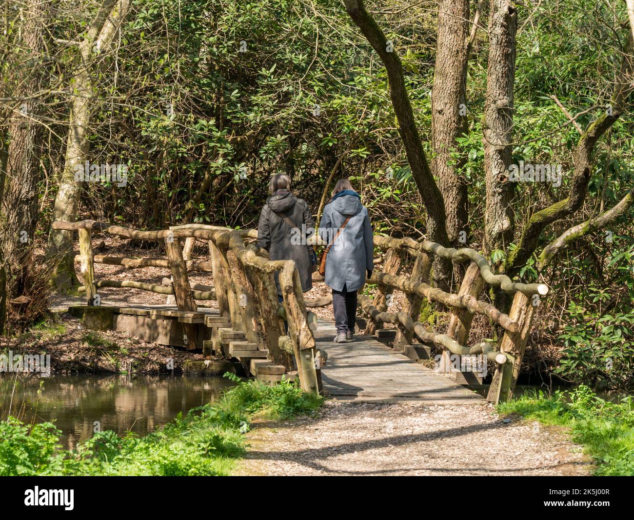 Due donne camminano attraverso un rustico ponte pedonale in legno su un sentiero boscoso tra gli alberi sotto il sole della primavera. Sheffield Park, East Sussex, Inghilterra, Regno Unito Foto Stock