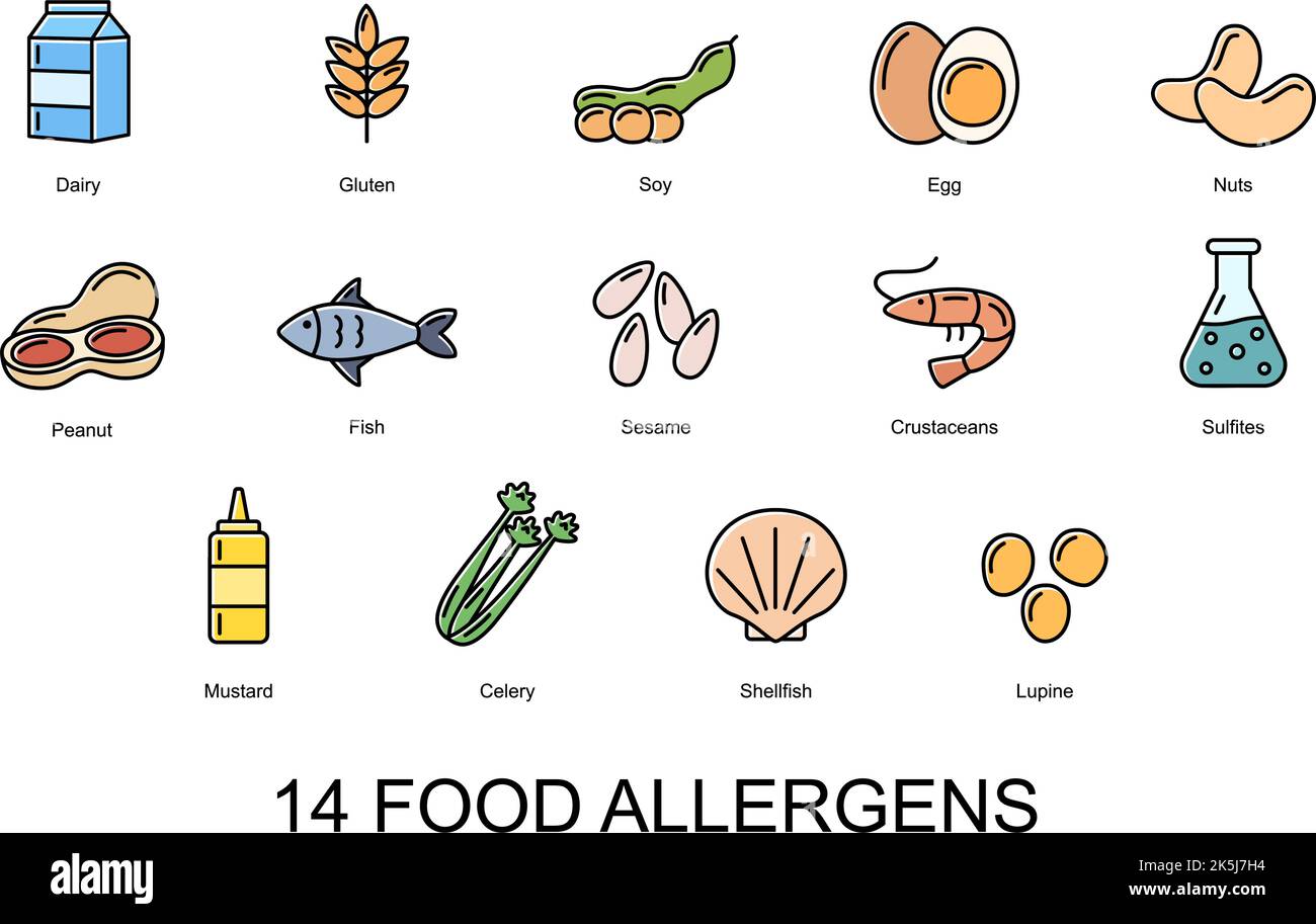 14 allergeni alimentari. Set di icone a colori degli allergeni di base . Illustrazione vettoriale Illustrazione Vettoriale