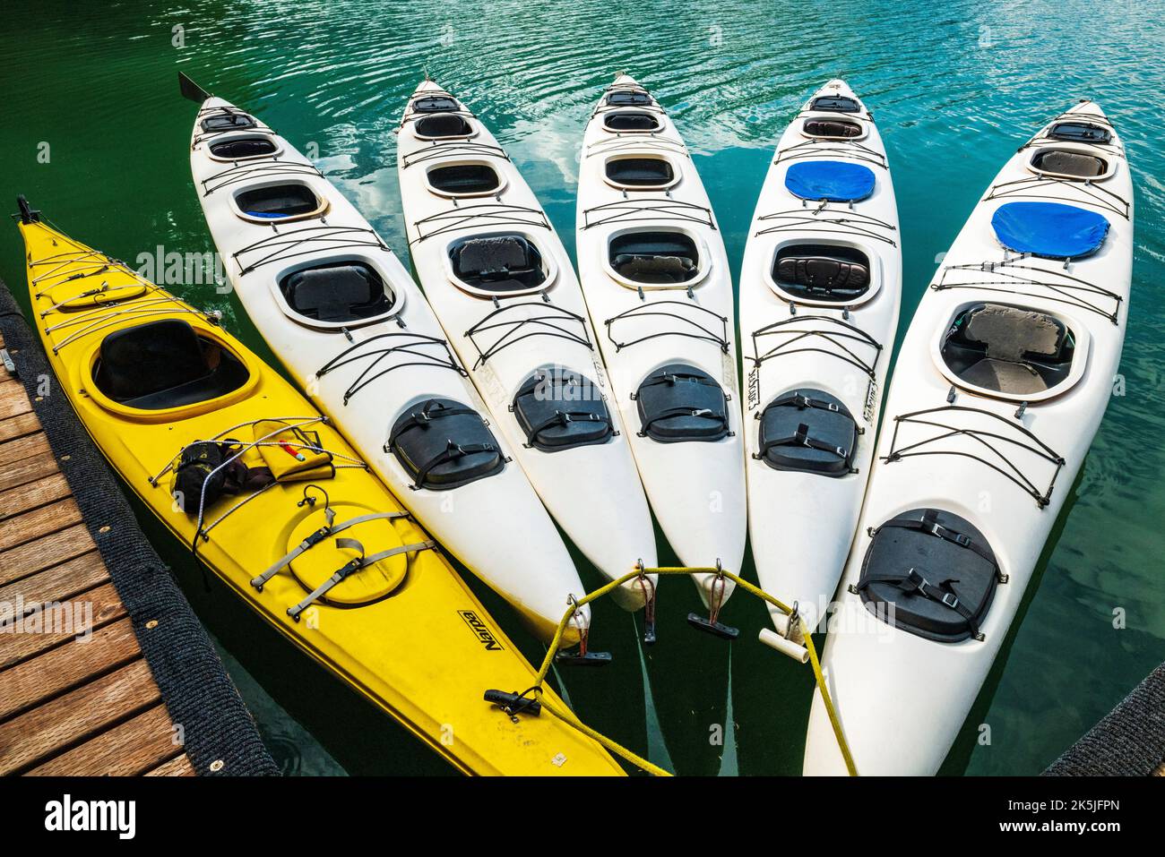 Kayak colorati; lago Chilkoot; Chilkoot state Recreation Site; Coast Mountains; Haines; Alaska; USA Foto Stock