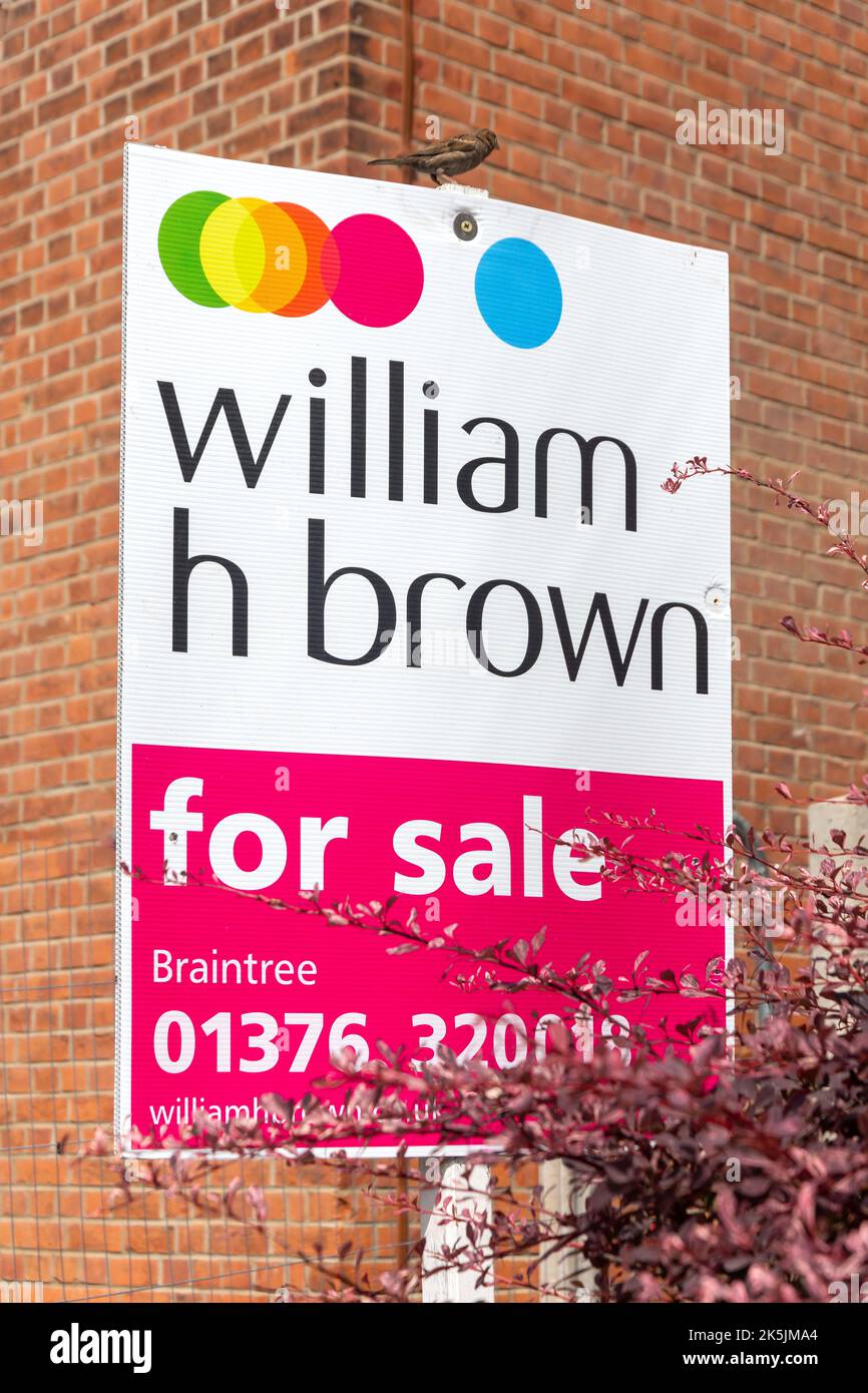 Cartello vendita agente immobiliare, Victoria Street, Braintree, Essex, Inghilterra, Regno Unito Foto Stock
