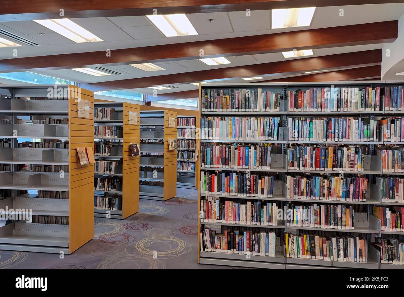 File di librerie con libri e libri di testo nella biblioteca pubblica. Concetto di apprendimento e di istruzione. Foto Stock