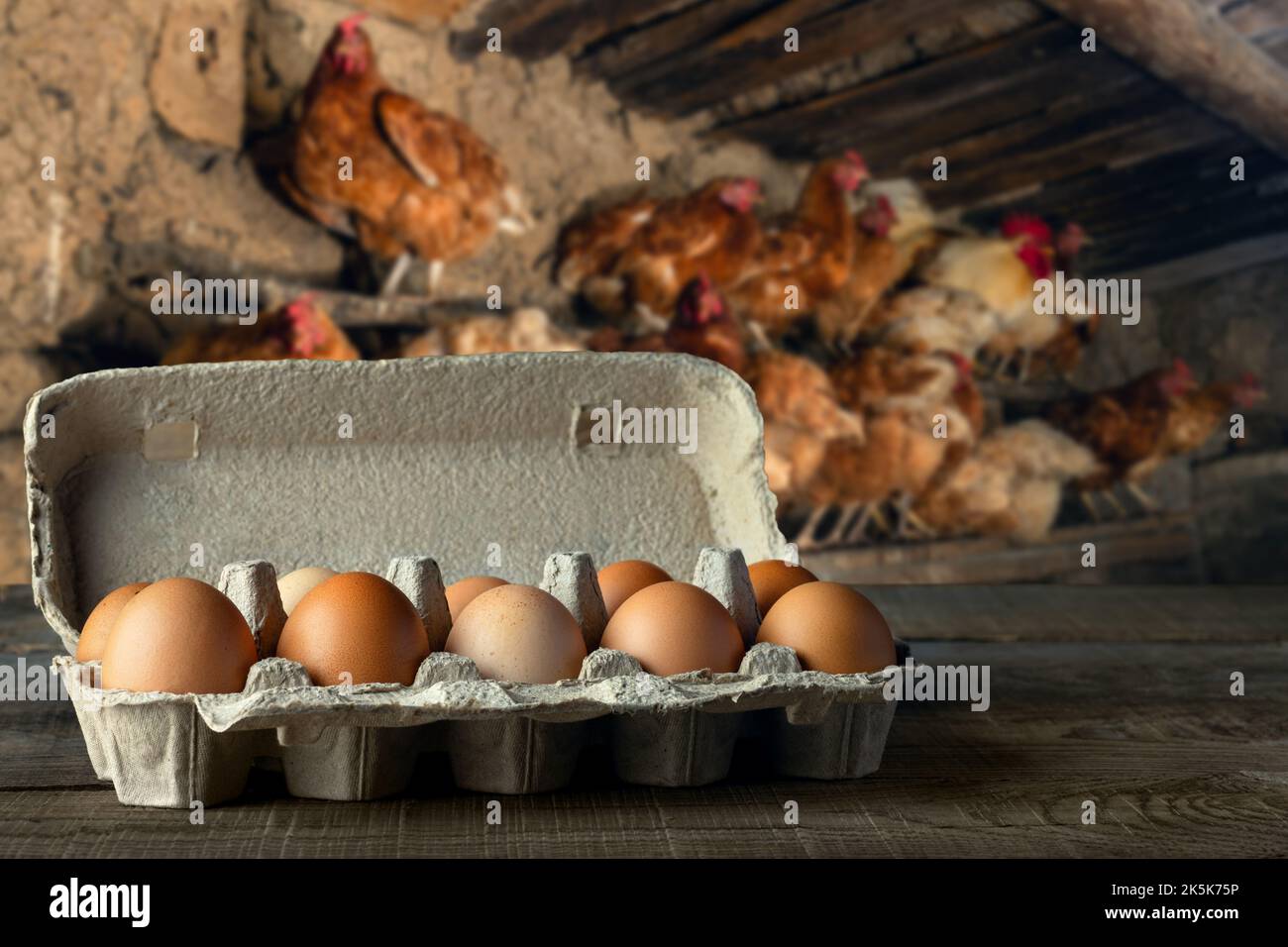 scatola di cartone con uova di pollo sul tavolo e galline sul roost come sfondo Foto Stock