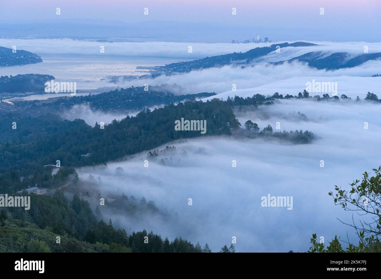 Vista aerea delle cime di montagna coperte di nebbia. Foto Stock