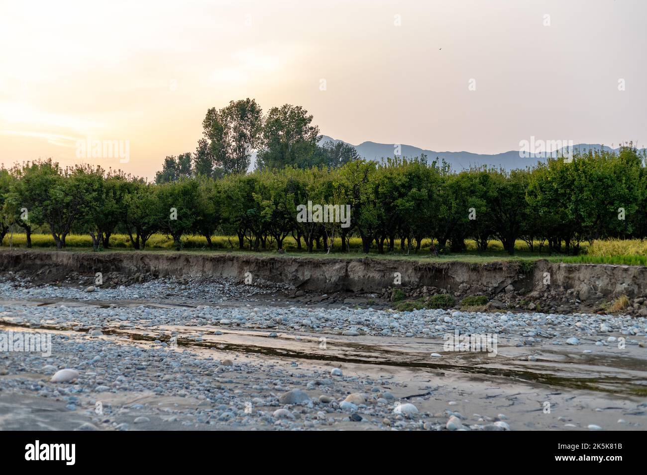 L'inondazione nelle acque fluviali a causa del cambiamento climatico e del riscaldamento globale provoca enormi perdite di terreni agricoli e di aziende agricole nella valle delle acque, in Pakistan Foto Stock