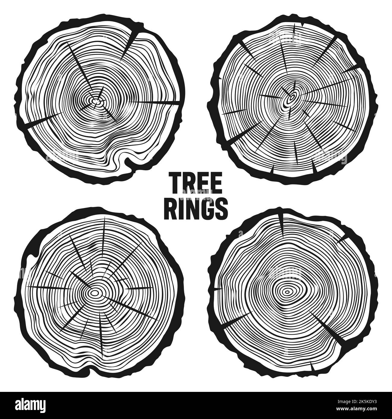 Tagli di tronco di albero tondo con crepe, segato pino o fette di quercia, legname. Legname tagliato da poco, legno. Tessitura di legno con anelli di albero. Schizzo disegnato a mano. Vettore Illustrazione Vettoriale