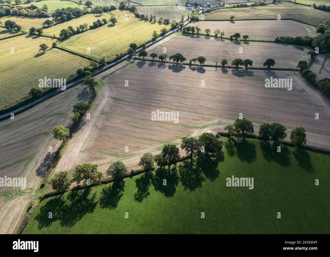 La luce del sole d'autunno proietta ombre sulle terre agricole del Worcestershire come si vede dall'aria. Raccolti campi di raccolto e pascolo incorniciato da alberi. Foto Stock