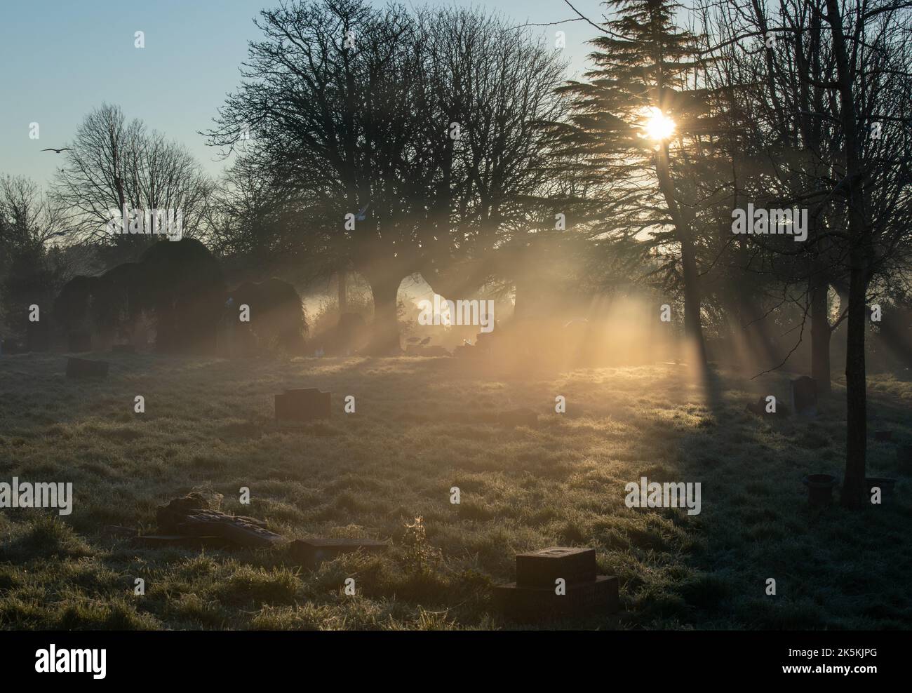 La luce del sole bassa e il gelo della mattina presto creano un'atmosfera spooky in un cimitero inglese. Foto Stock