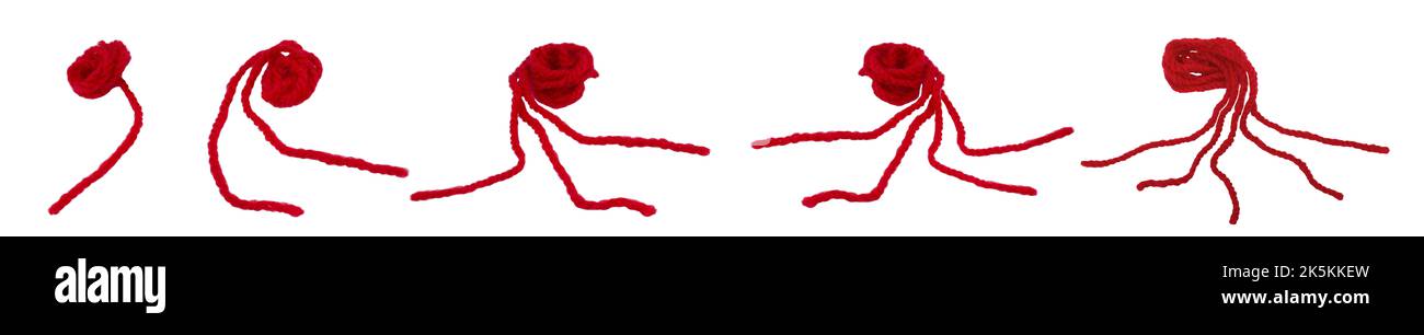 Set di corda rossa Kabbalah isolato su sfondo bianco Foto Stock
