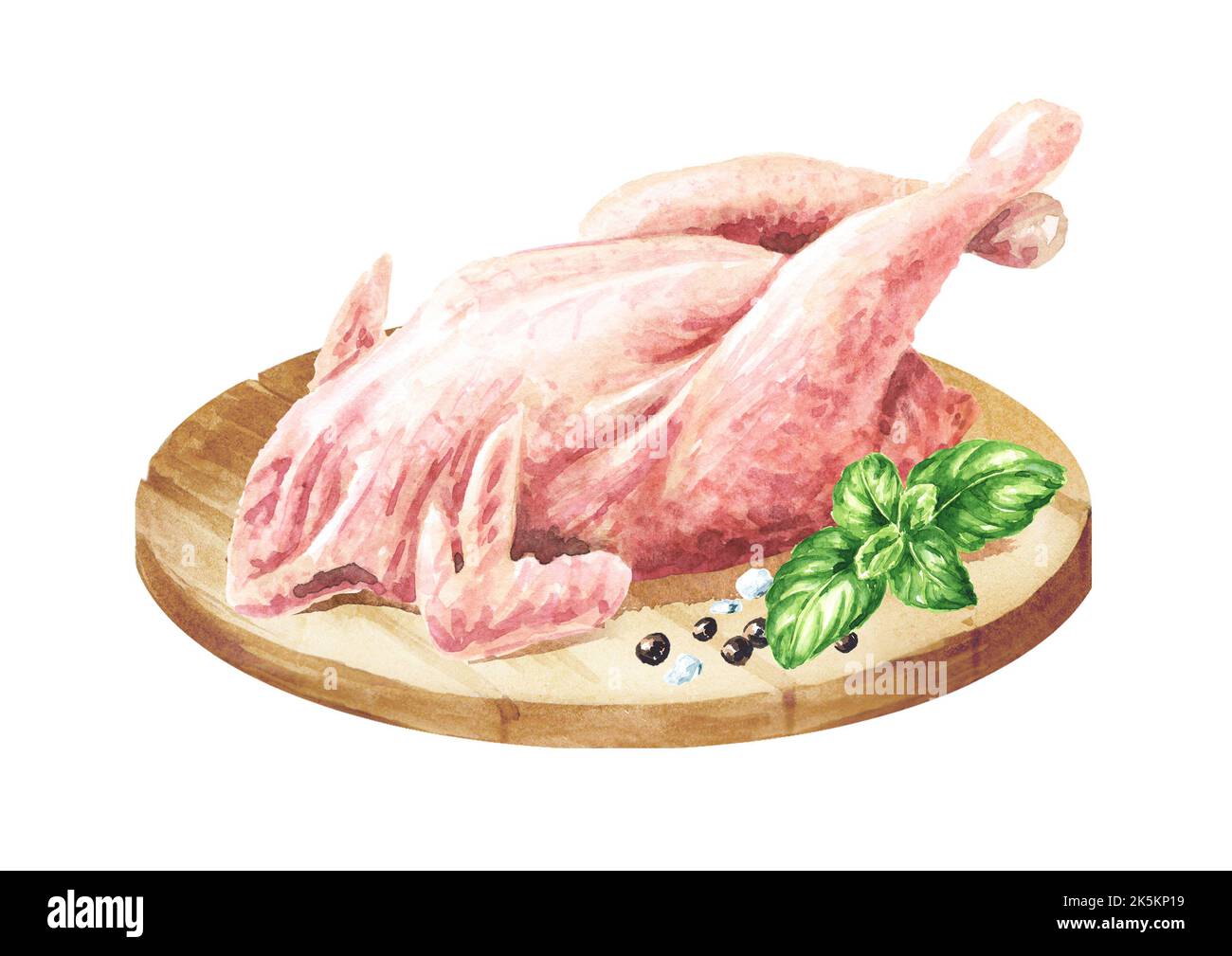 Carcassa di gallina cruda, pascolo libero, fattoria, casa. Illustrazione di acquerello disegnata a mano isolata su sfondo bianco Foto Stock