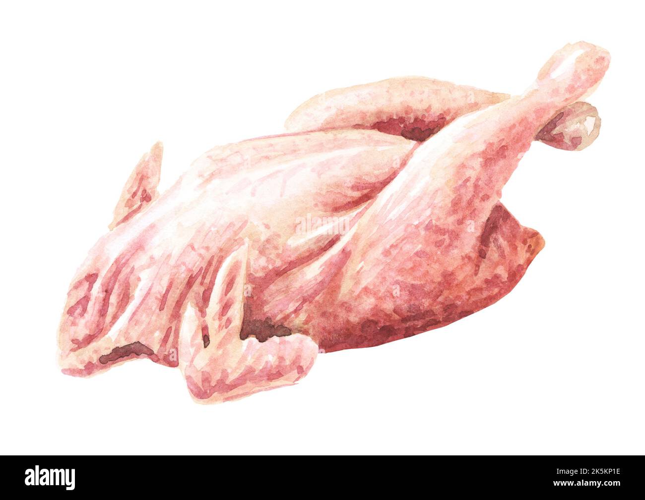 Carcassa di gallina cruda, pascolo libero, fattoria, casa. Illustrazione a acquerello disegnata a mano, isolata su sfondo bianco Foto Stock