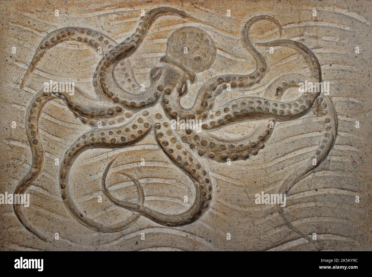 Octopus Stone Carving nel Museo di Storia Naturale di Londra Foto Stock