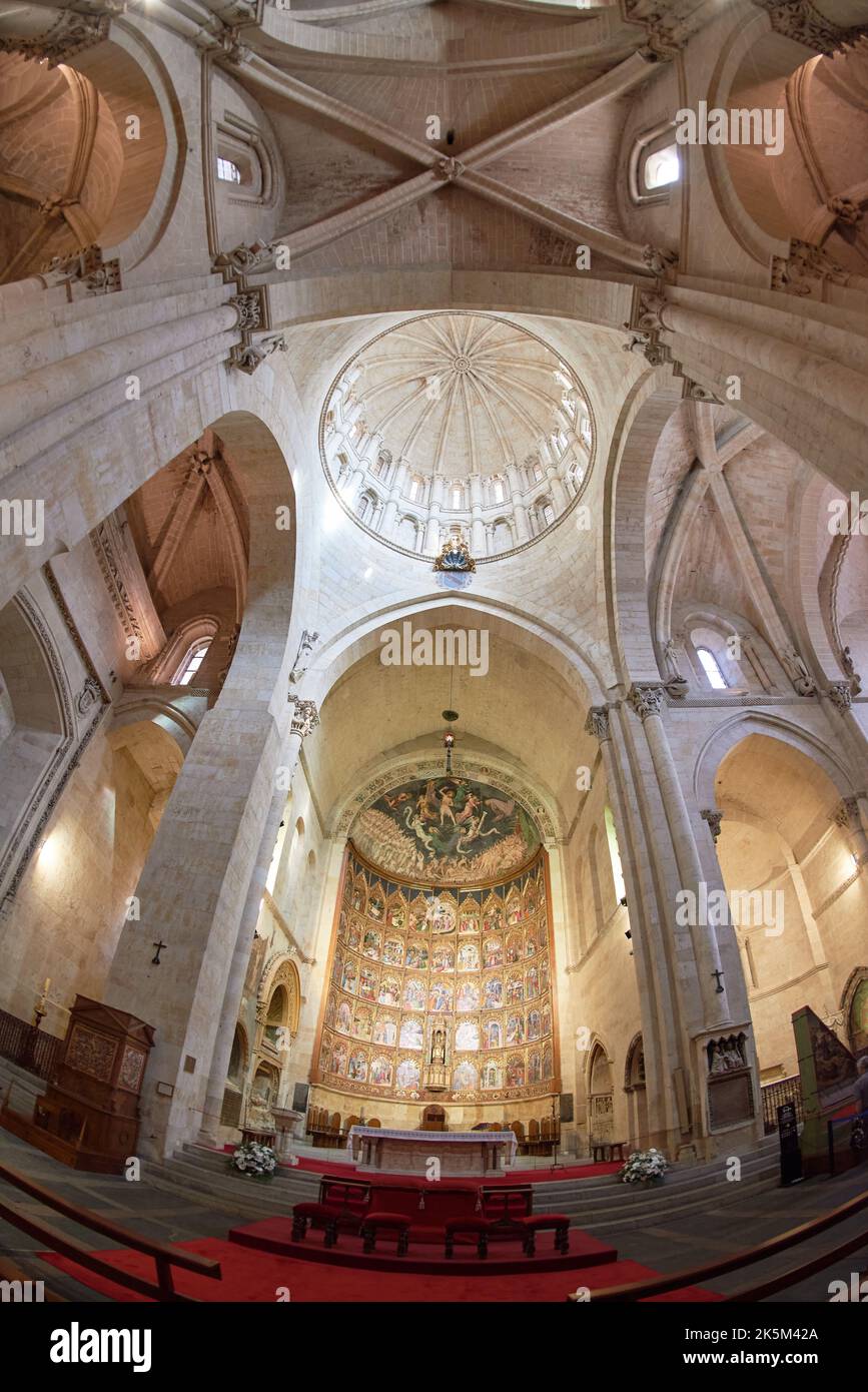 Vecchia Cattedrale di Salamanca, Città di Salamanca, Spagna, Europa. Foto Stock