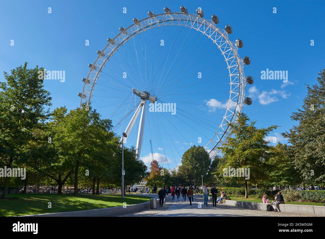 Il London Eye dal Jubilee Park and Gardens, nel centro di Londra, Regno Unito Foto Stock