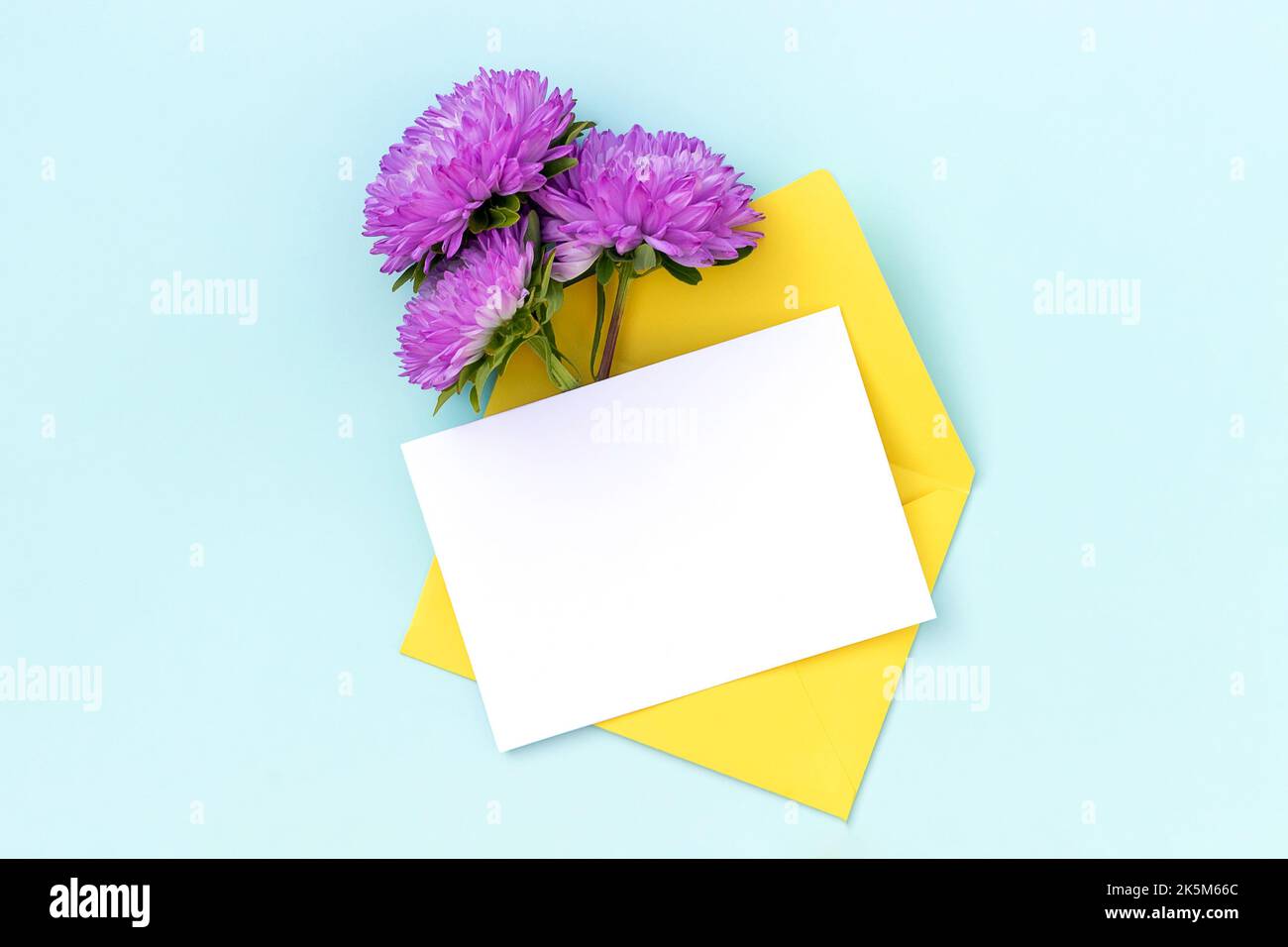 Cartoncino bianco, busta gialla e fiore viola su sfondo blu. Stile minimalista. Vista dall'alto Flat Lay Mockup. Foto Stock