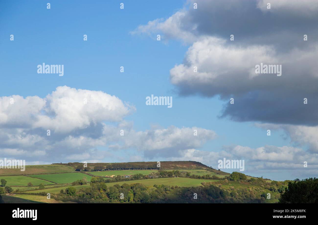 Vista di Pildon Pen nel Marshwood vale, una valle incredibilmente bella nel Dorset rurale Foto Stock