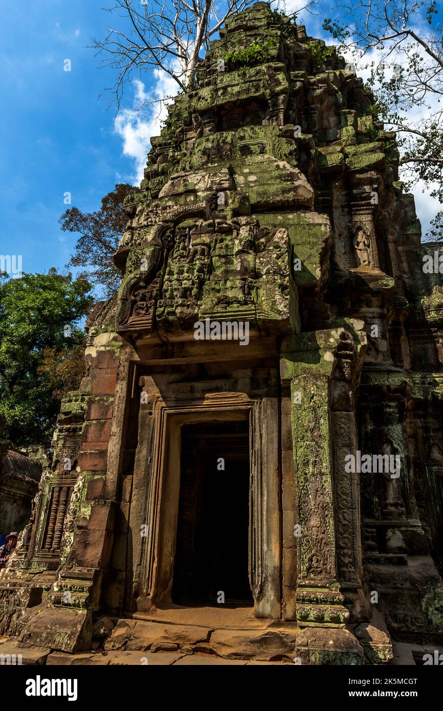 Un edificio del tempio a Ta Prohm Angkor Temple Siem Reap. Foto Stock