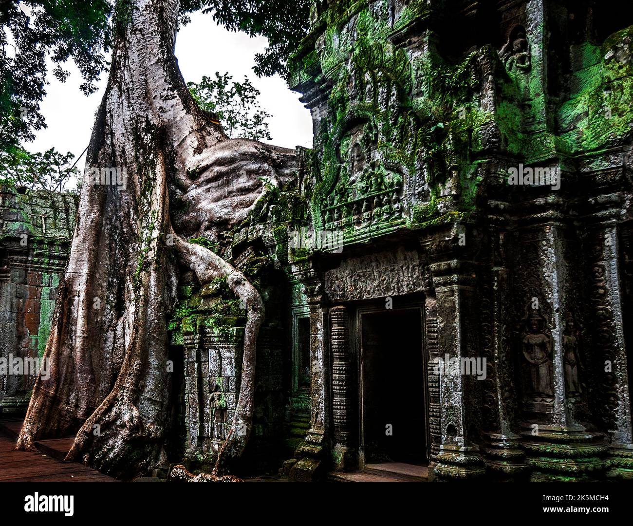 La giungla circonda e invade l'edificio del tempio di Ta Prohm. Foto Stock