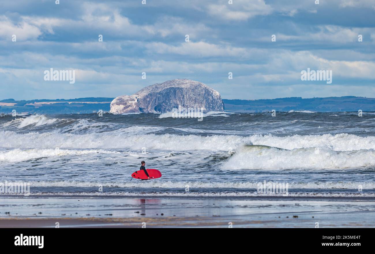 Un surfista nel Firth of Forth in una giornata ventosa con grandi onde con l'isola di Bass Rock in lontananza, Scozia, Regno Unito Foto Stock