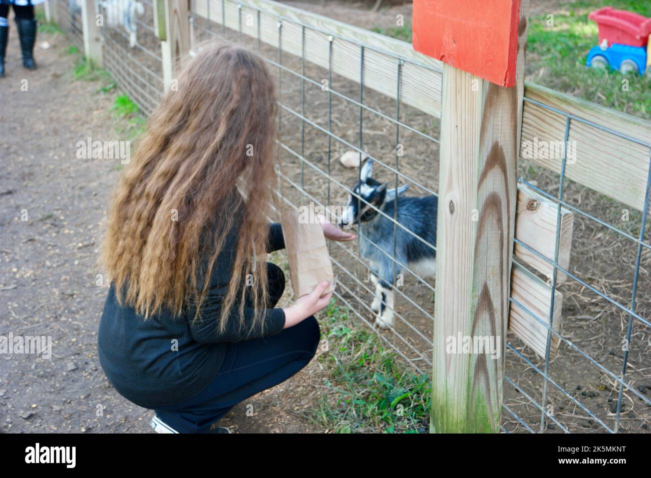 Ragazza in uno zoo con animali domestici e capre Foto Stock